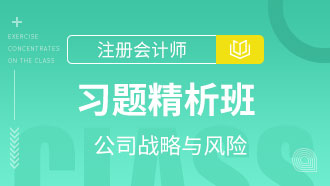 公司战略与风险管理习题精析班